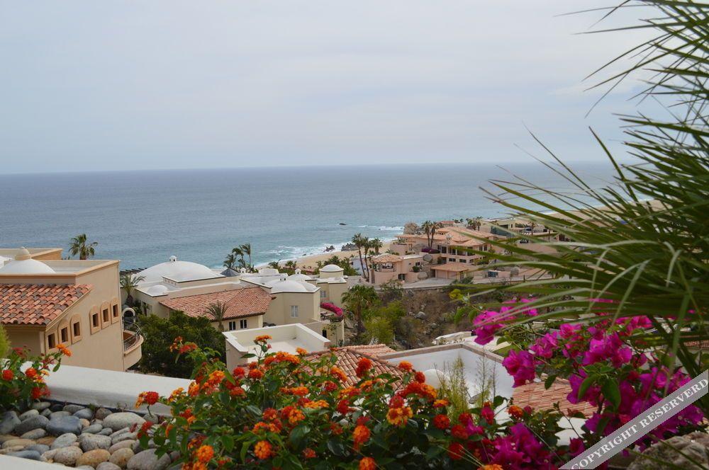 Villa Las Flores 카보산루카스 외부 사진